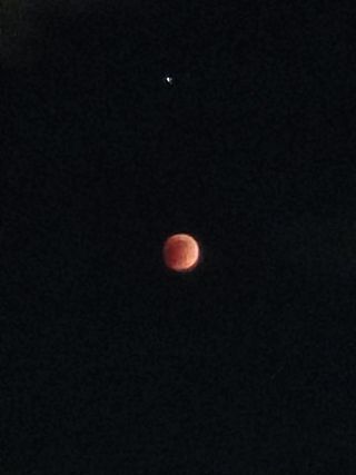 Melissa M. photo sub, blood moon
